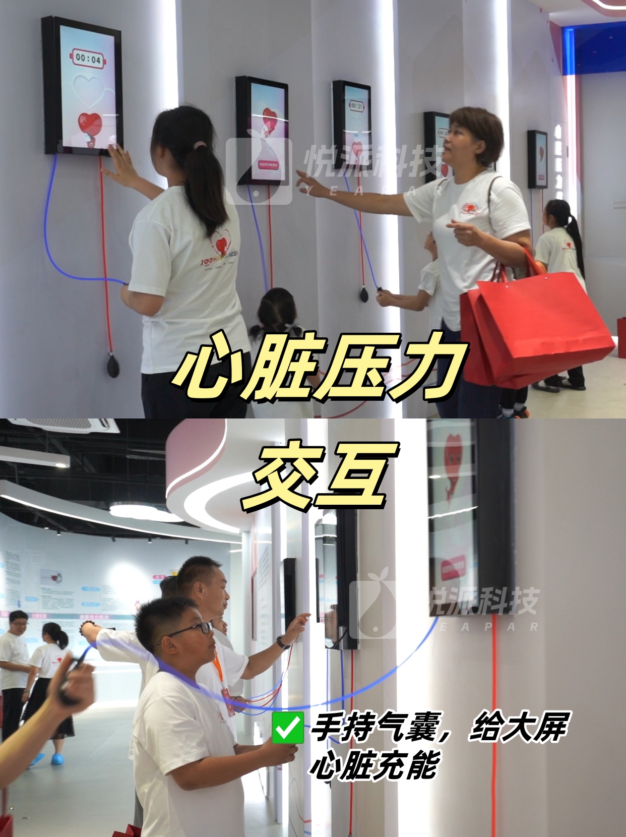 心脏压力交互